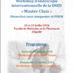 Workshop d endoscopie interventionnelle de la SMED