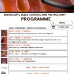 Endoscopic bleed control and polypectomy Programme